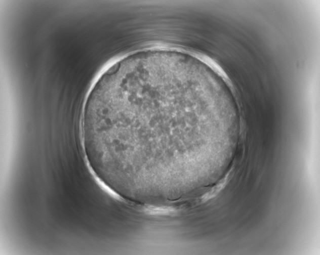 X0000084551247200703161641