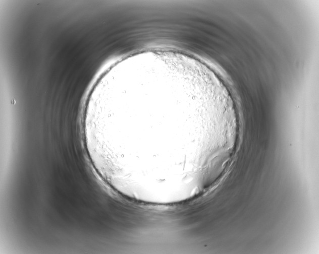 X0000084551248200703161641