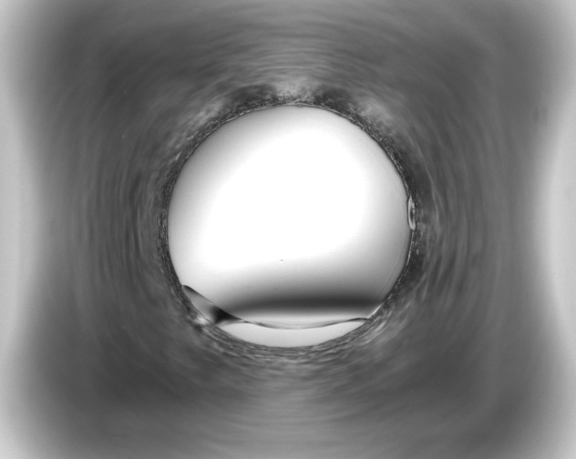 X0000084551249200703161640