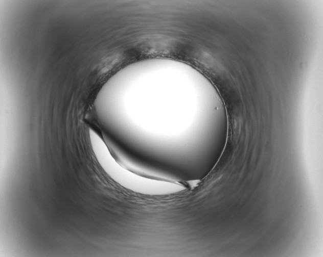 X0000084551250200703161640