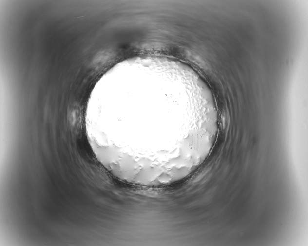 X0000084551251200703161640