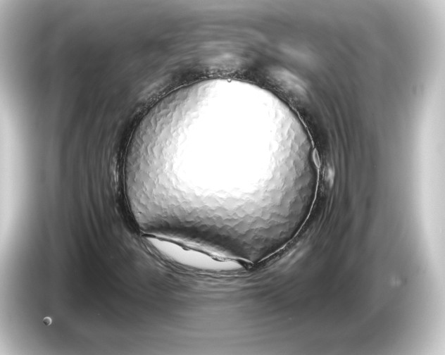 X0000084551252200703161640