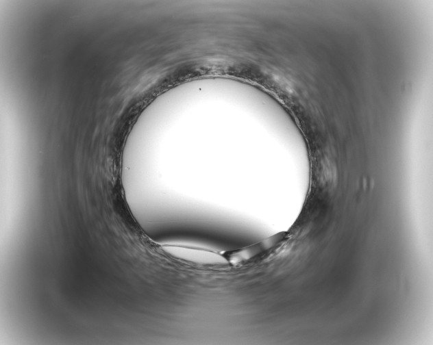 X0000084551253200703161640