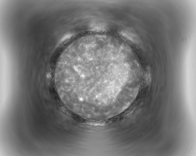 X0000084551254200703161640