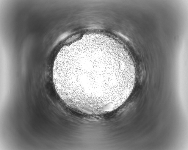 X0000084551255200703161640