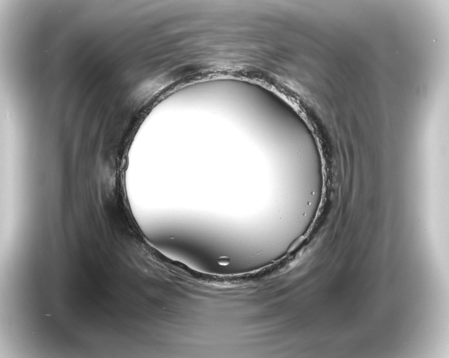 X0000084551257200703161640