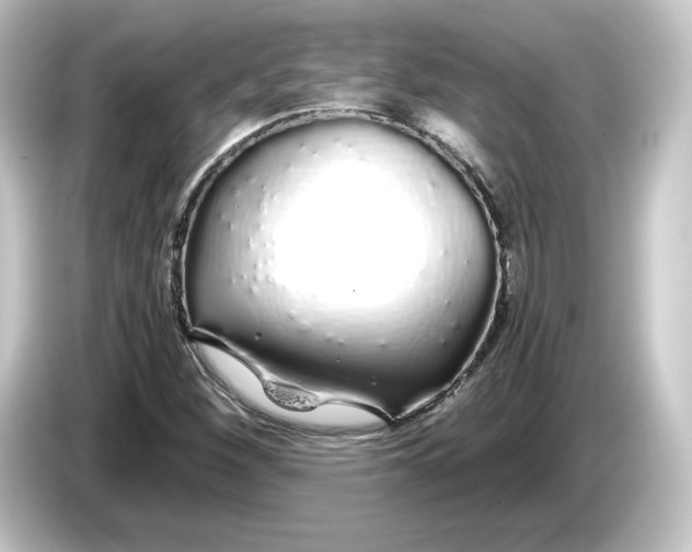 X0000084551260200703161640