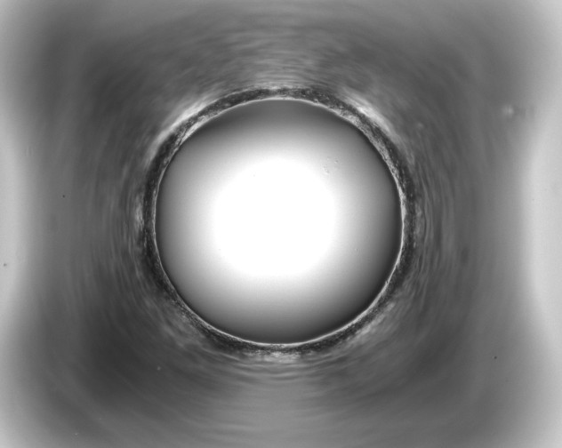 X0000084551261200703161640