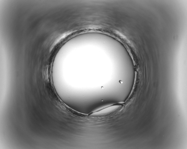 X0000084551262200703161640