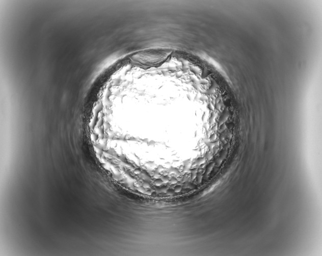 X0000084551263200703161640