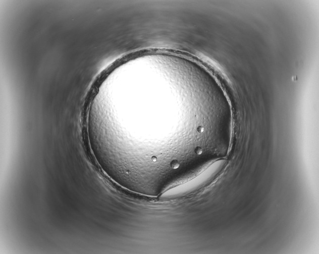 X0000084551264200703161640