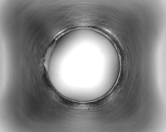 X0000084551265200703161640