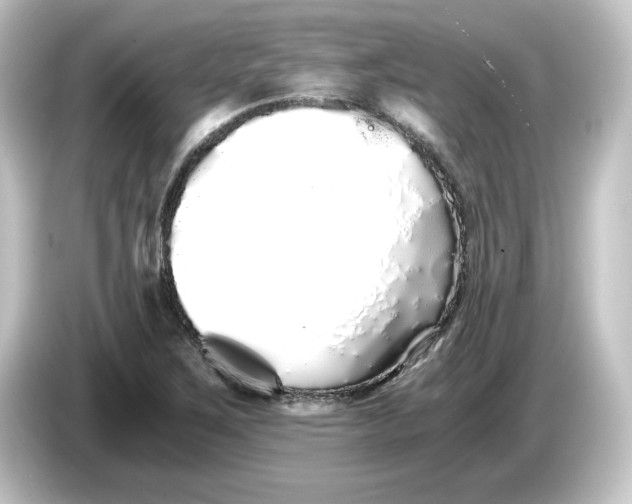 X0000084551267200703161640