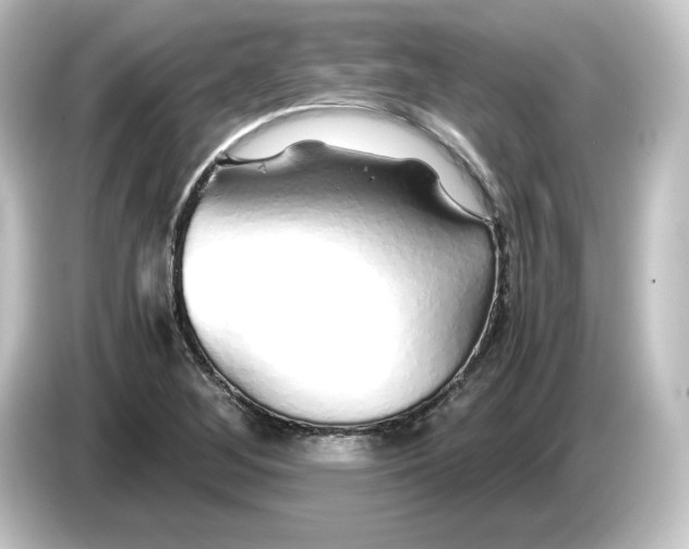 X0000084551268200703161640