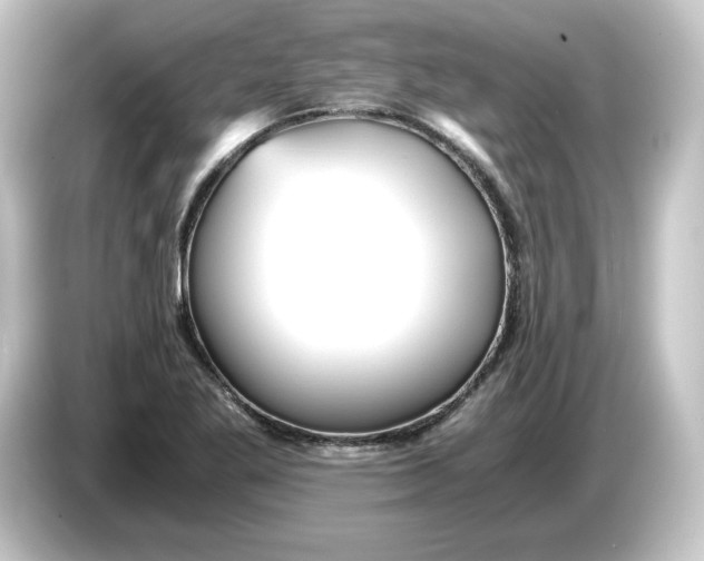 X0000084551269200703161640