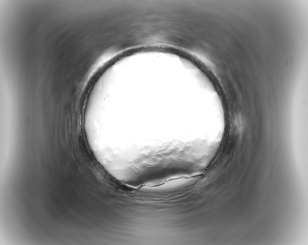 X0000084551271200703161640