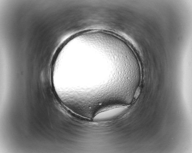 X0000084551272200703161640