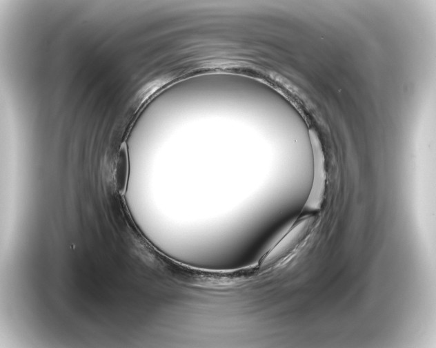 X0000084551273200703161640