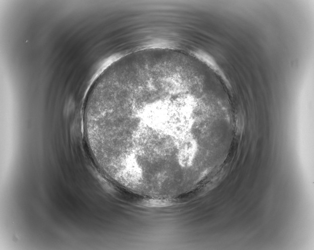 X0000084551274200703161640