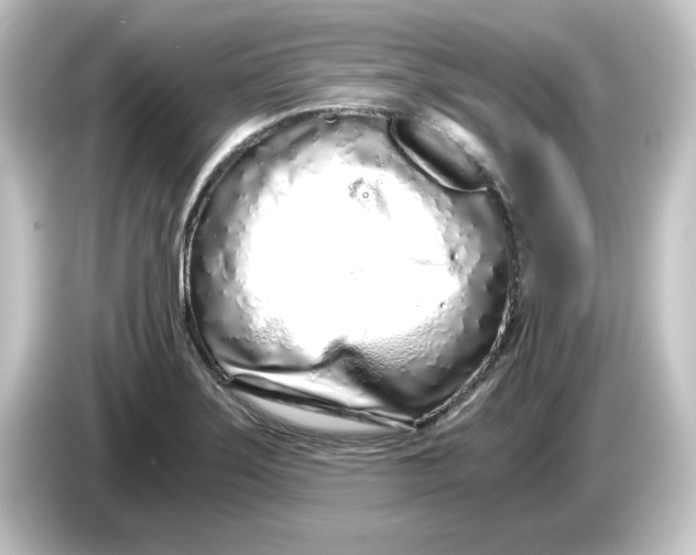 X0000084551275200703161640