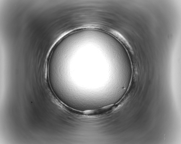 X0000084551276200703161640