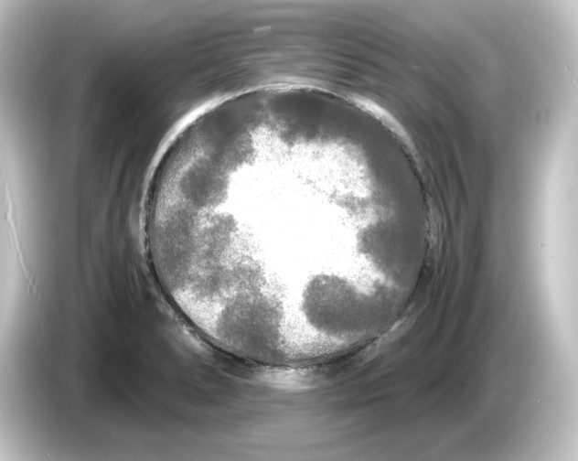 X0000084551278200703161640