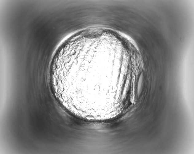 X0000084551279200703161640