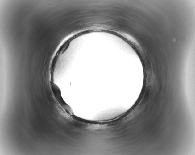 X0000084551280200703161640