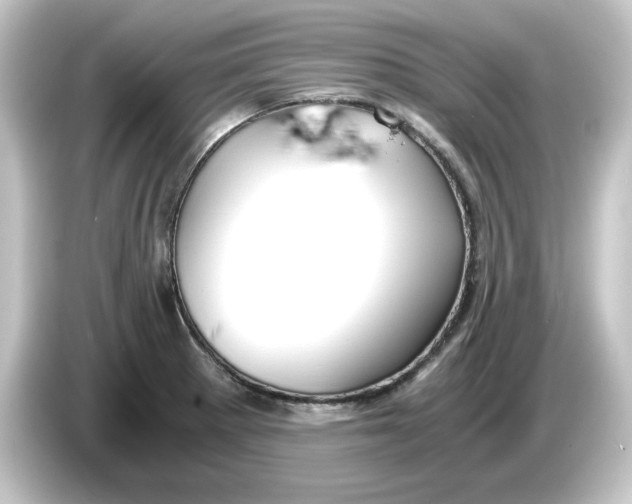 X0000084551281200703161640