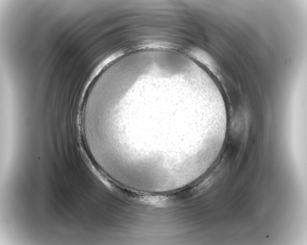 X0000084551282200703161640