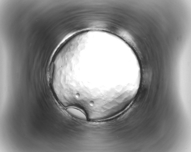 X0000084551284200703161640