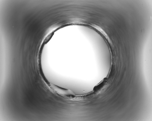 X0000084551285200703161640