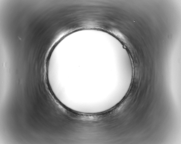 X0000084551286200703161640