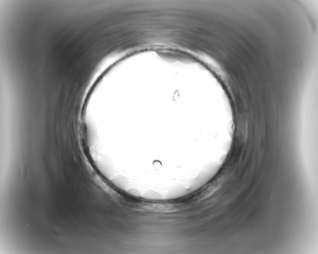 X0000084551287200703161640