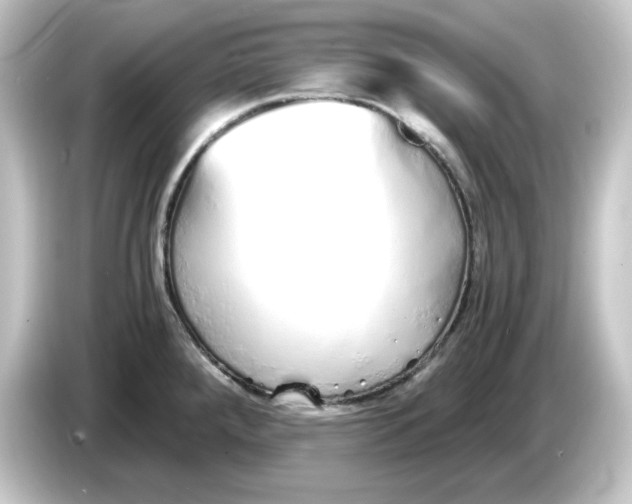 X0000084551288200703161640