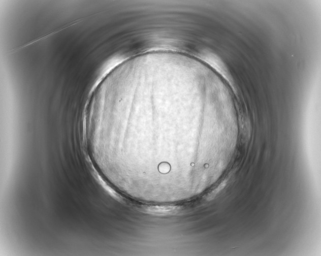 X0000084551290200703161640