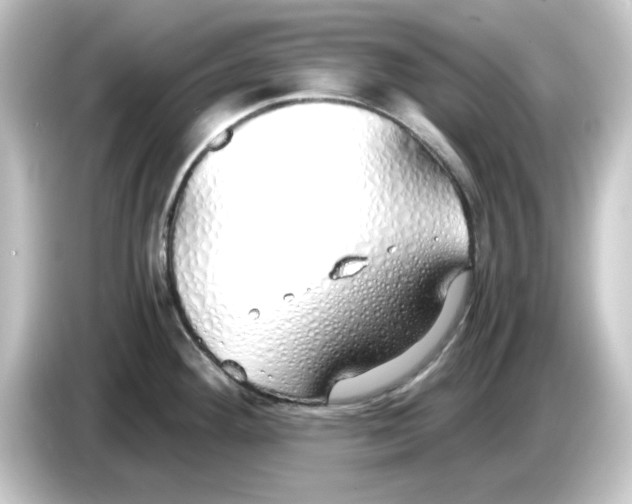 X0000084551292200703161640