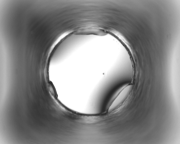 X0000084551293200703161639