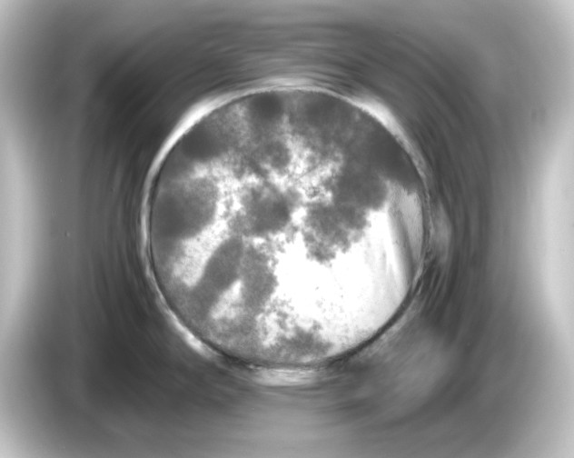 X0000084551294200703161639