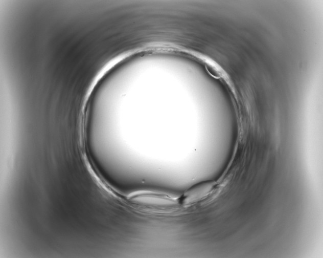 X0000084551295200703161639