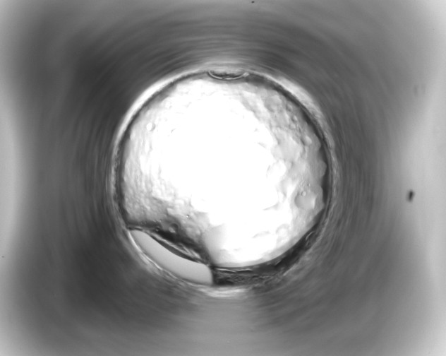 X0000084551296200703161639