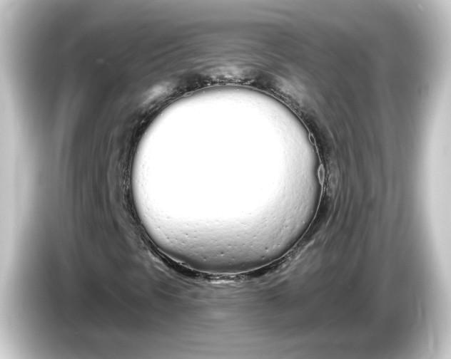 X0000084551297200703161639