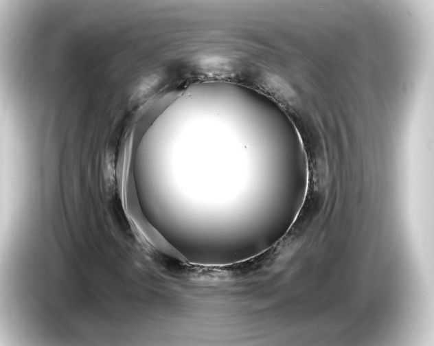 X0000084551298200703161639