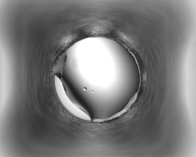 X0000084551300200703161639