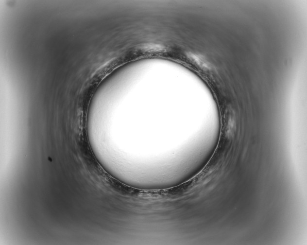 X0000084551301200703161639