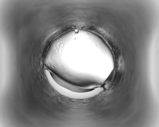 X0000084551302200703161639