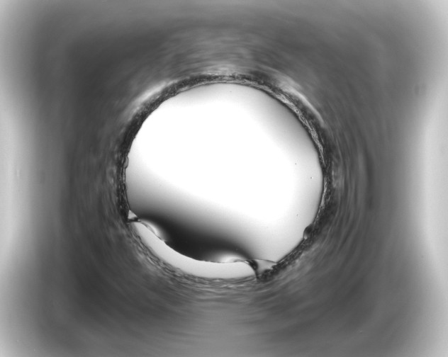 X0000084551304200703161639