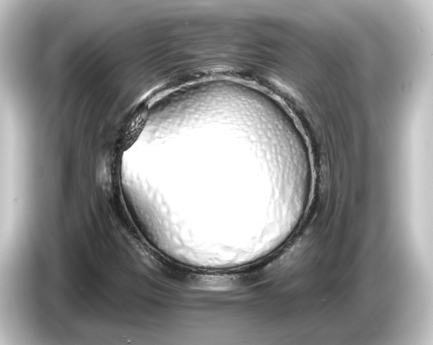 X0000084551305200703161639