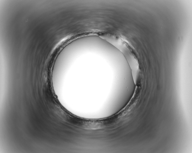 X0000084551307200703161639