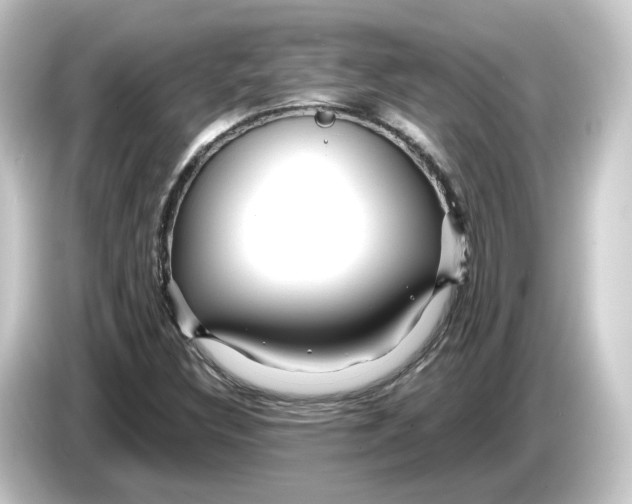 X0000084551308200703161639